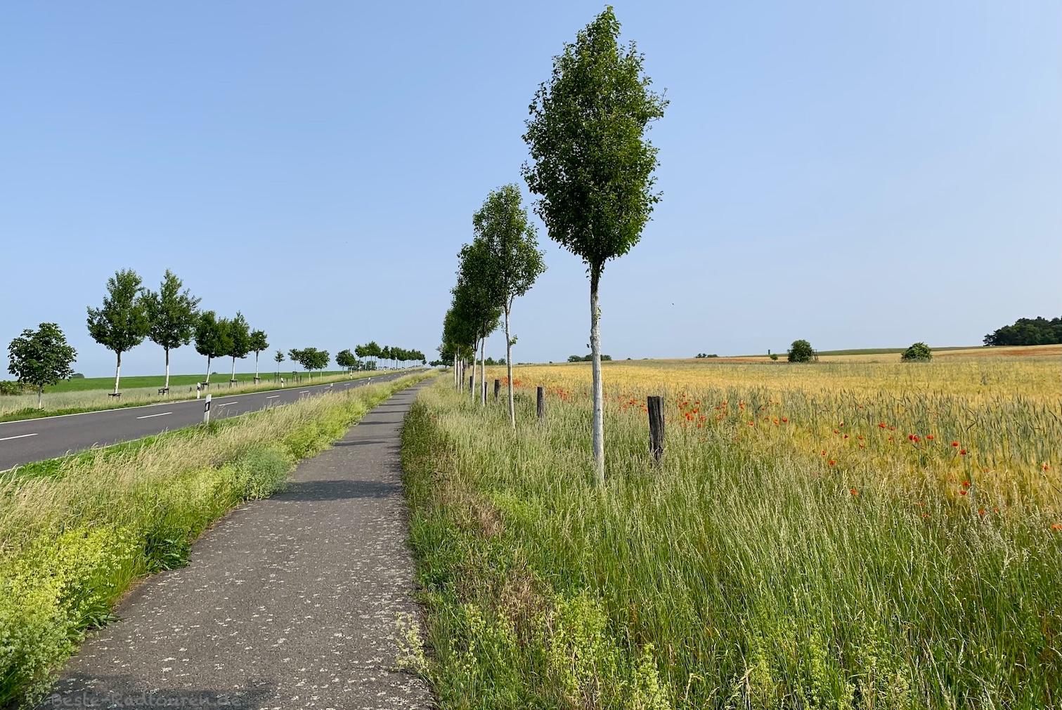 Foto vom Theodor-Fontane-Radweg aus: Straße von Barnewitz nach Buschow