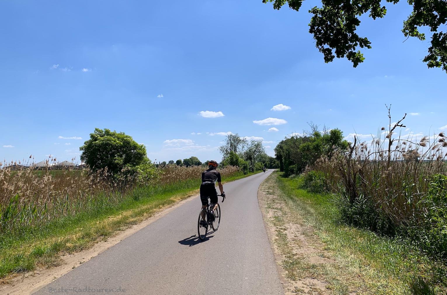 Foto vom Radweg von Retzow nach Pessin