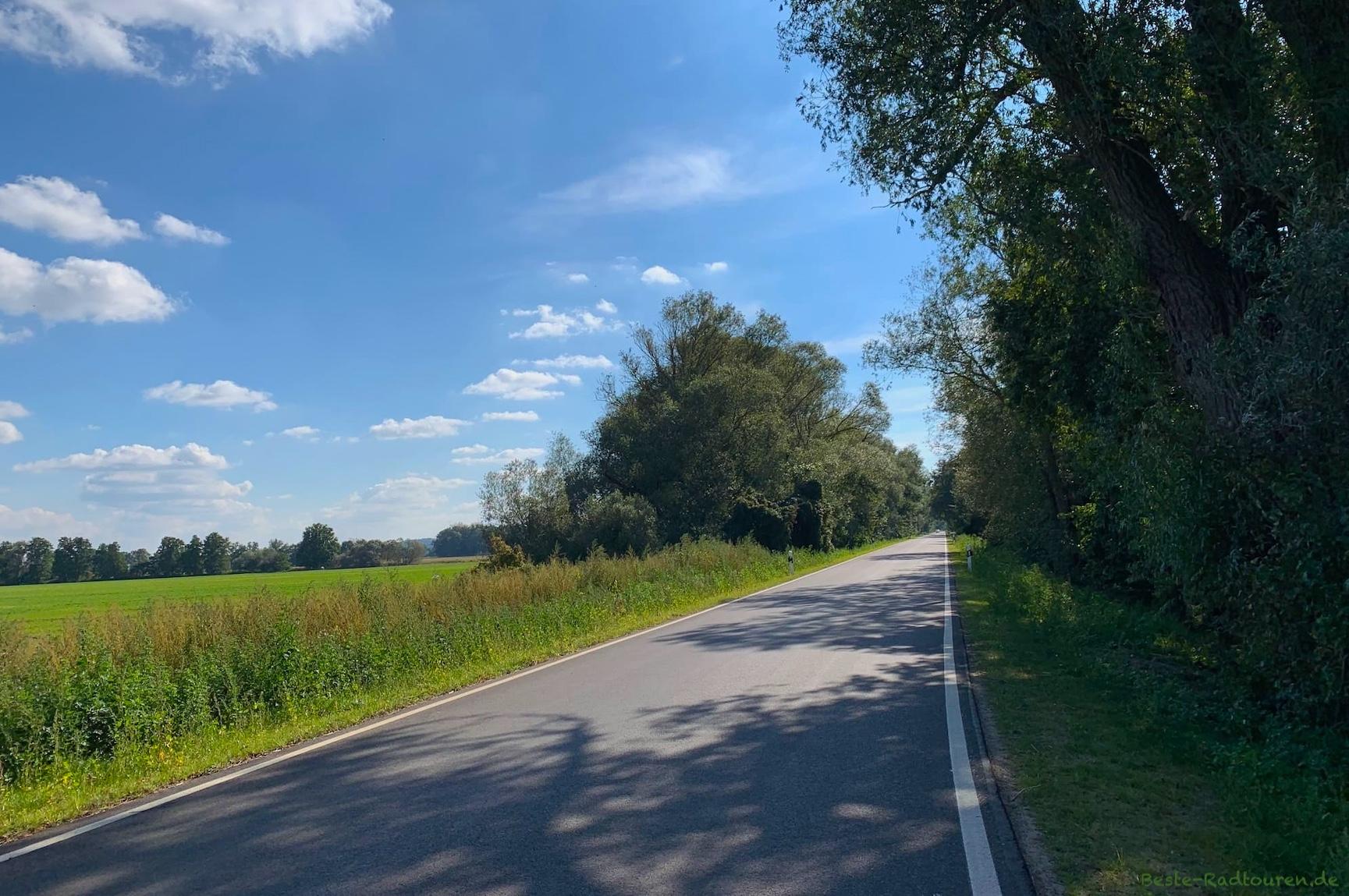 Foto vom Westen her: Radweg von Rübehorst nach Buchhorst / Rhinow