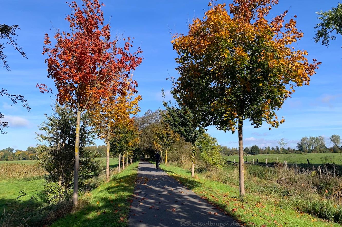 Radtour 97: Vom Havelland ins Ruppiner Land: Brandenburg – Paulinenaue – Neuruppin