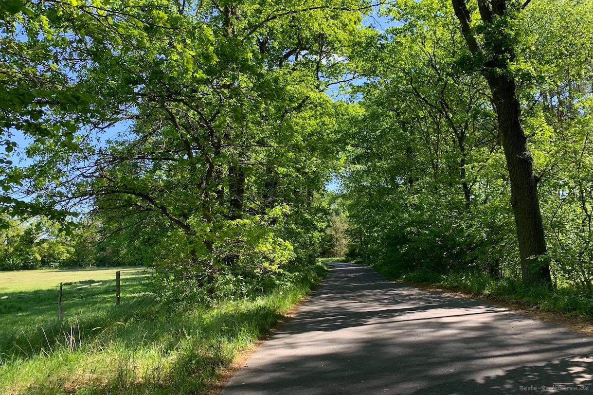 Foto vom Radweg aus: Landstraße bei Stolpshof zwischen Paaren und Nauen