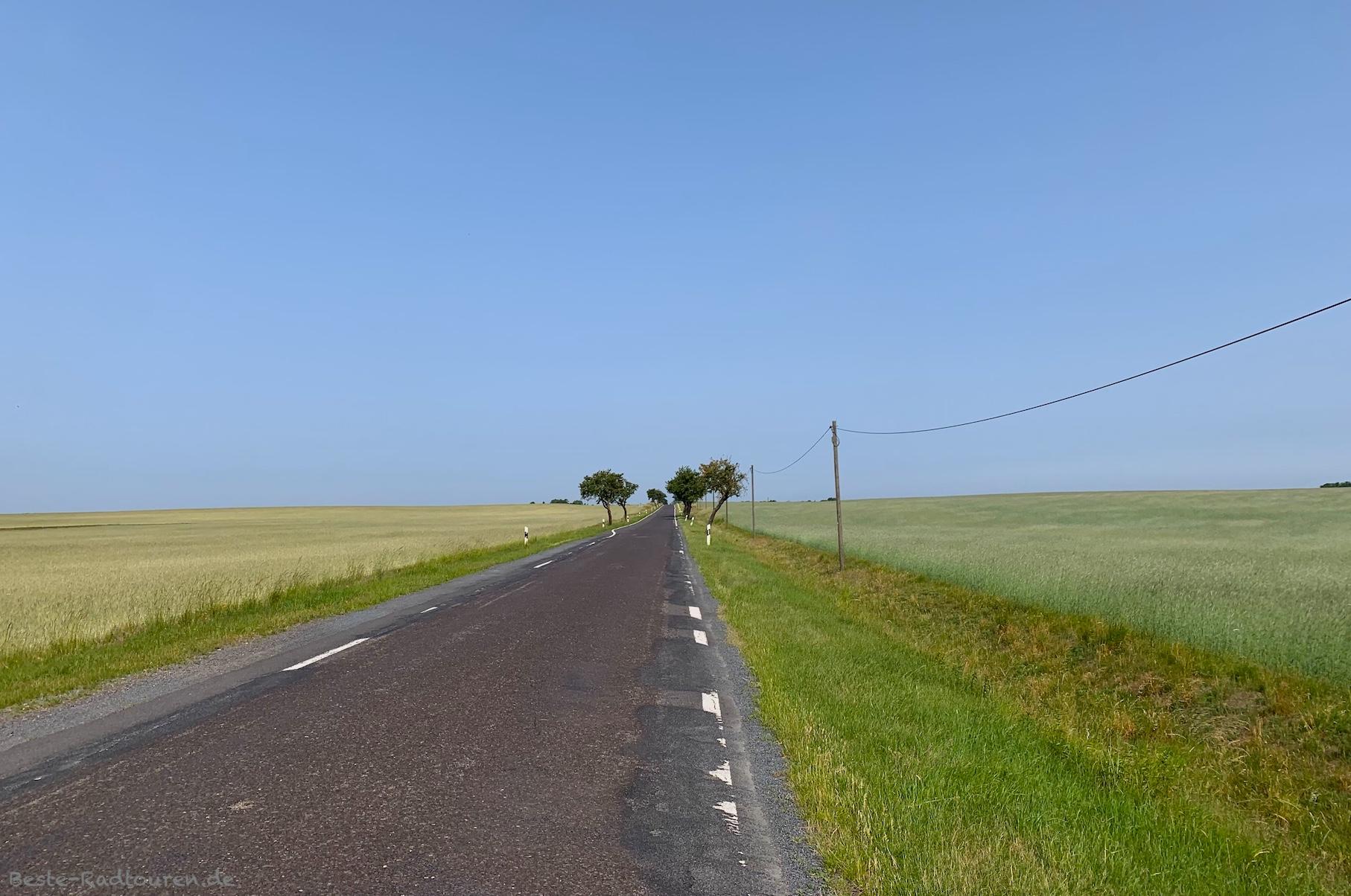 Foto vom Radweg aus: Straße zwischen Barnewitz und Gortz