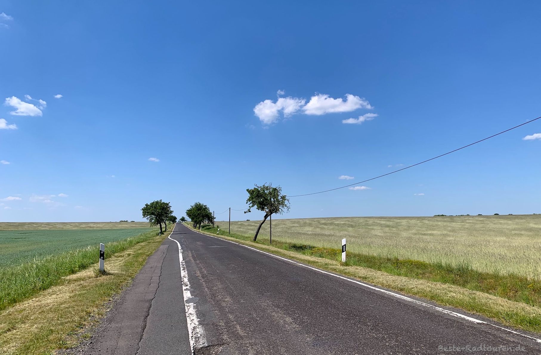Foto vom Radweg aus: Landstraße zwischen Gortz und Barnewitz