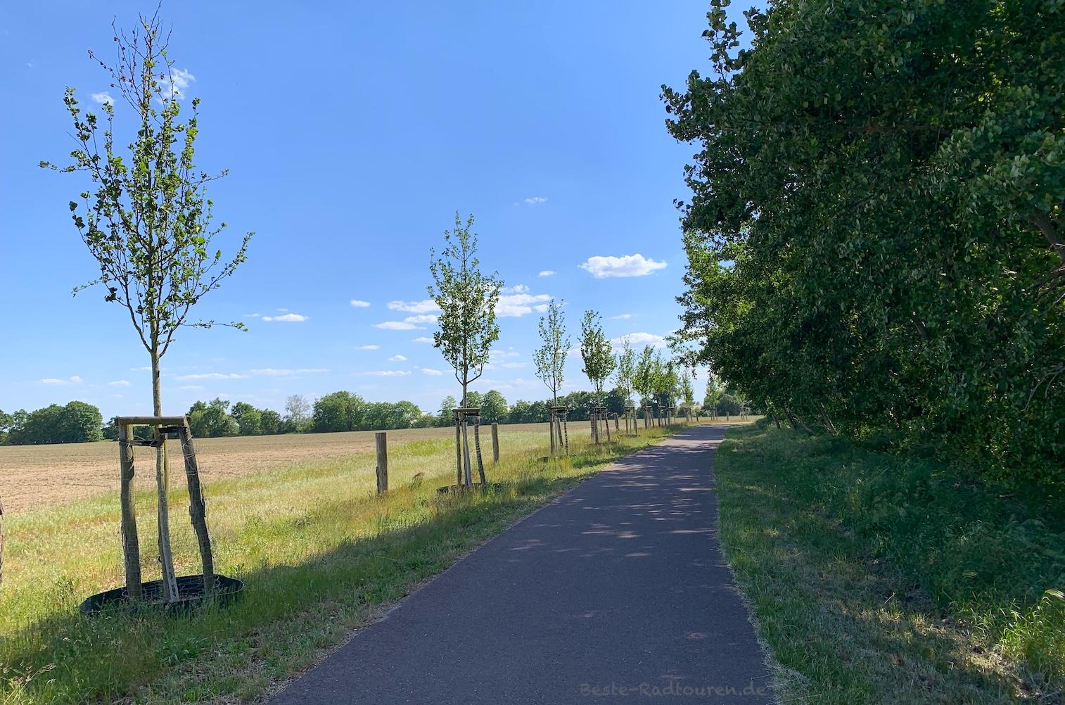 Foto vom Storchenradweg aus: Radweg von Brandenburg (Havel) nach Mötzow