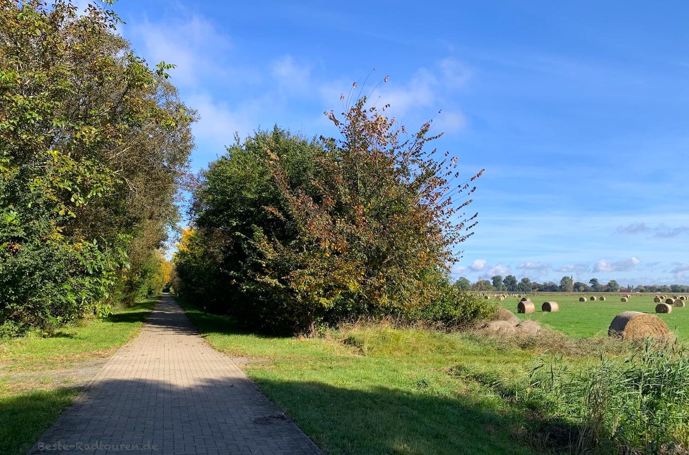 Foto vom Theodor-Fontane-und vom Stille-Pauline-Radweg aus: Radwanderweg von Fehrbellin nach Dammkrug