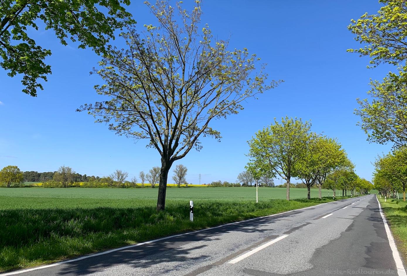Foto vom Storchenradweg aus: Landstraße von Bagow nach Bollmannsruh