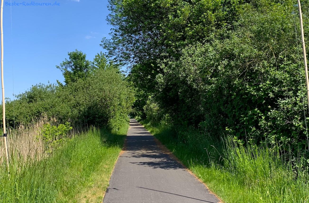 Foto vom Storchenradweg aus: Radwanderweg von Butzow bis Ketzür