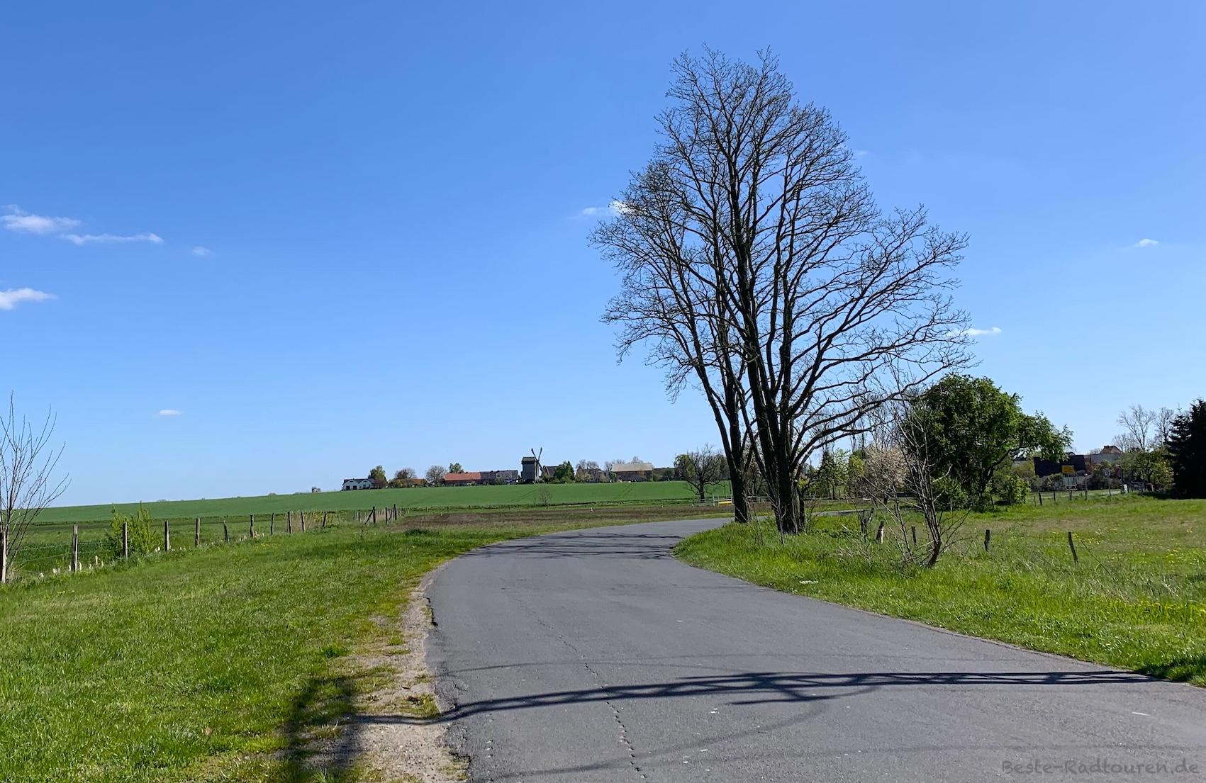 Foto vom Storchen-Radweg aus: Landstraße nördlich von Ketzür (Beetzseeheide), Dorf, Windmühle