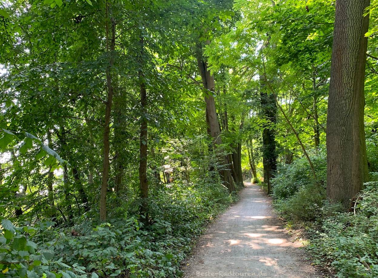 Foto vom Norden her: Wanderweg und Radweg am Lehnitzsee