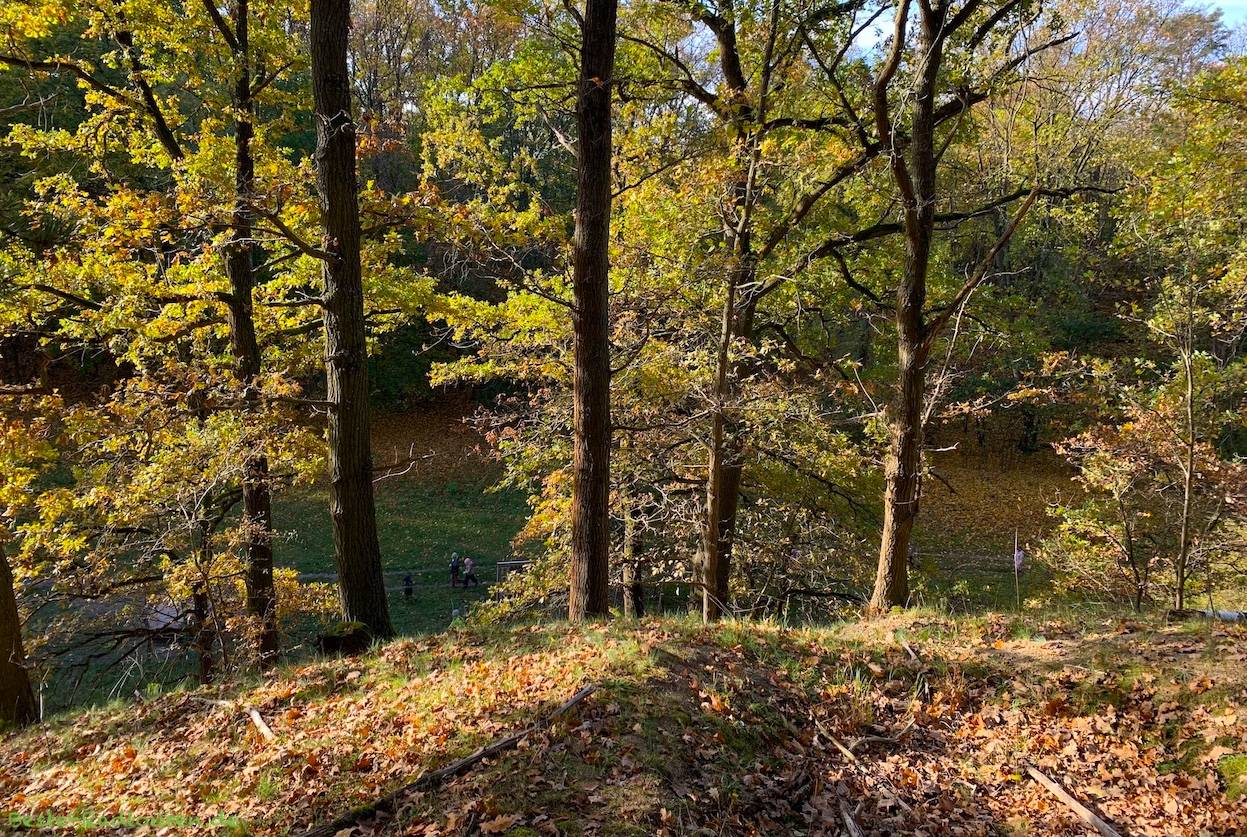 Foto vom Kammweg aus: Talweg in der Murellenschlucht, Berlin-Spandau