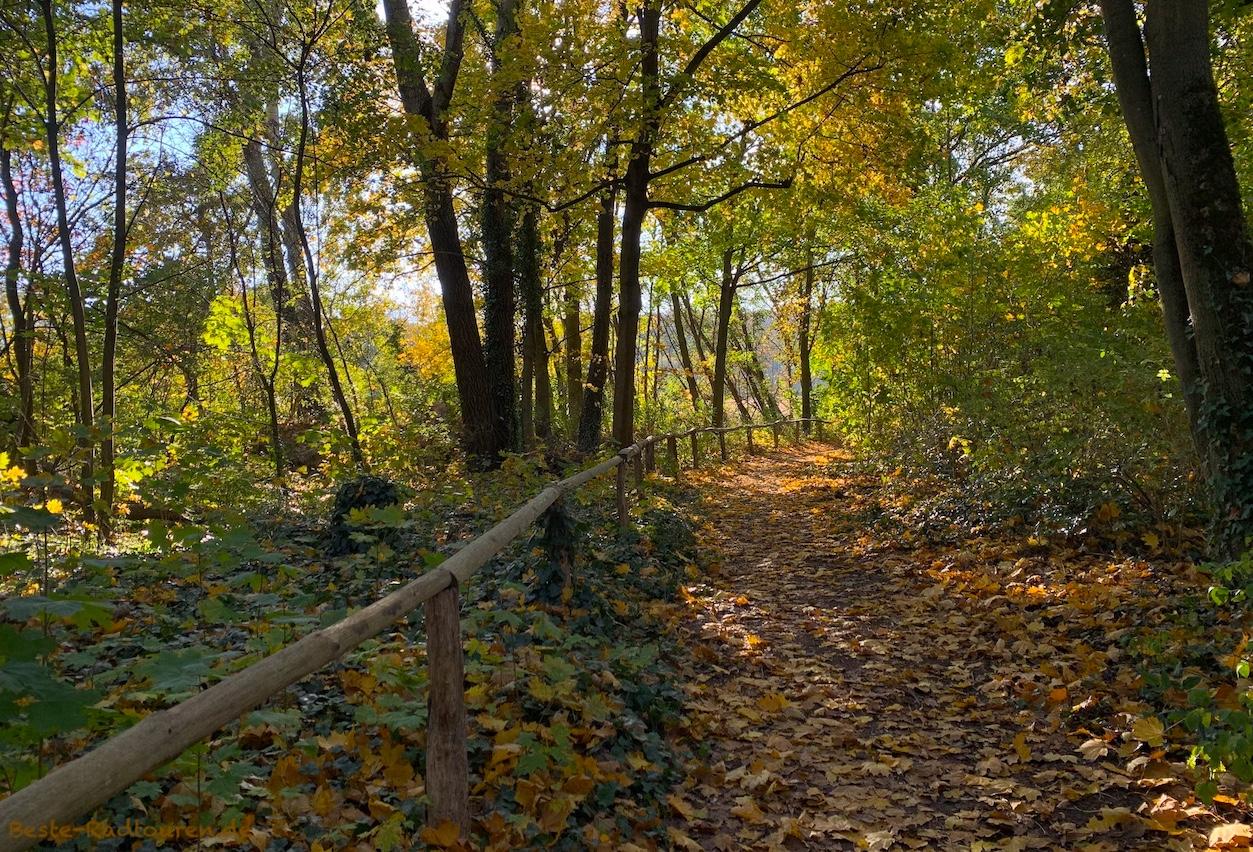 Foto vom nördlichen Eingang her: Fließwiese Ruhleben, Wanderweg, Fußweg