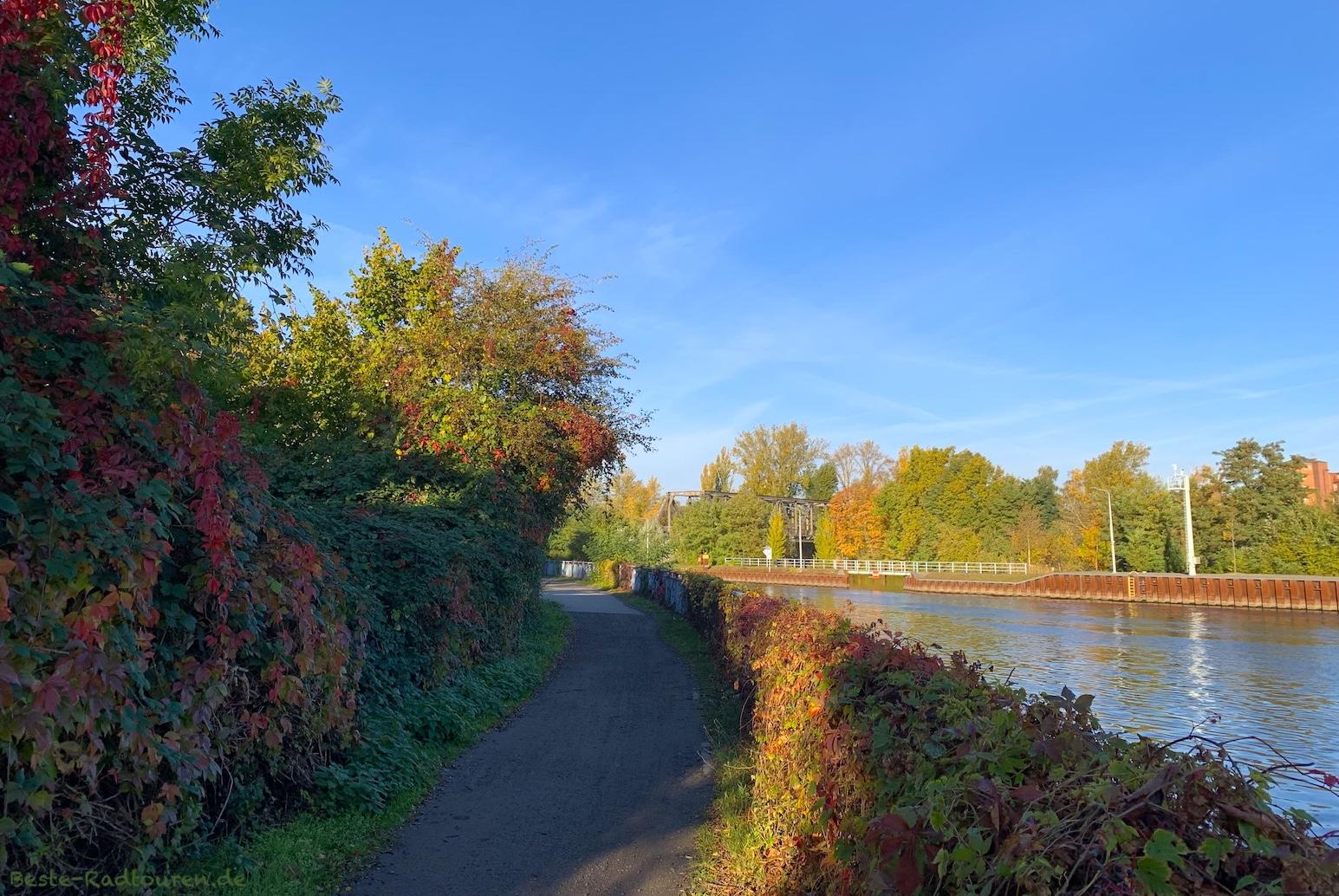 Foto vom Uferweg und Wanderweg aus: Spree, Knüppeldamm Berlin