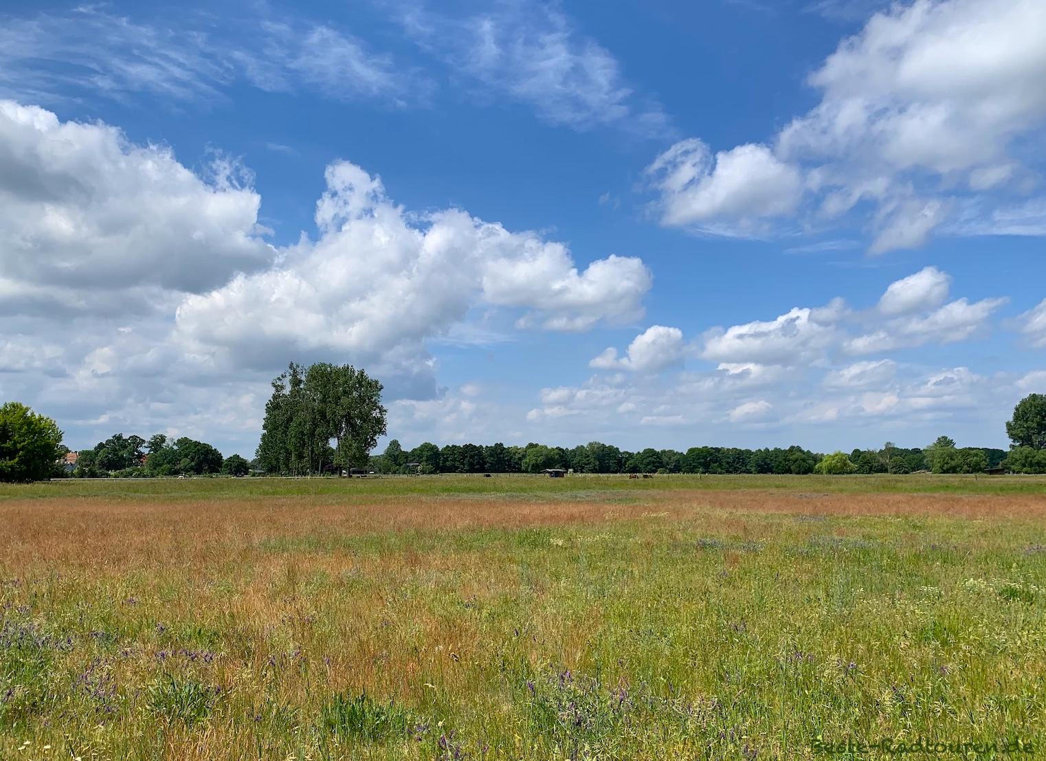 Foto vom Radweg aus: Landschaft bei Reckahn (Kloster Lehnin)
