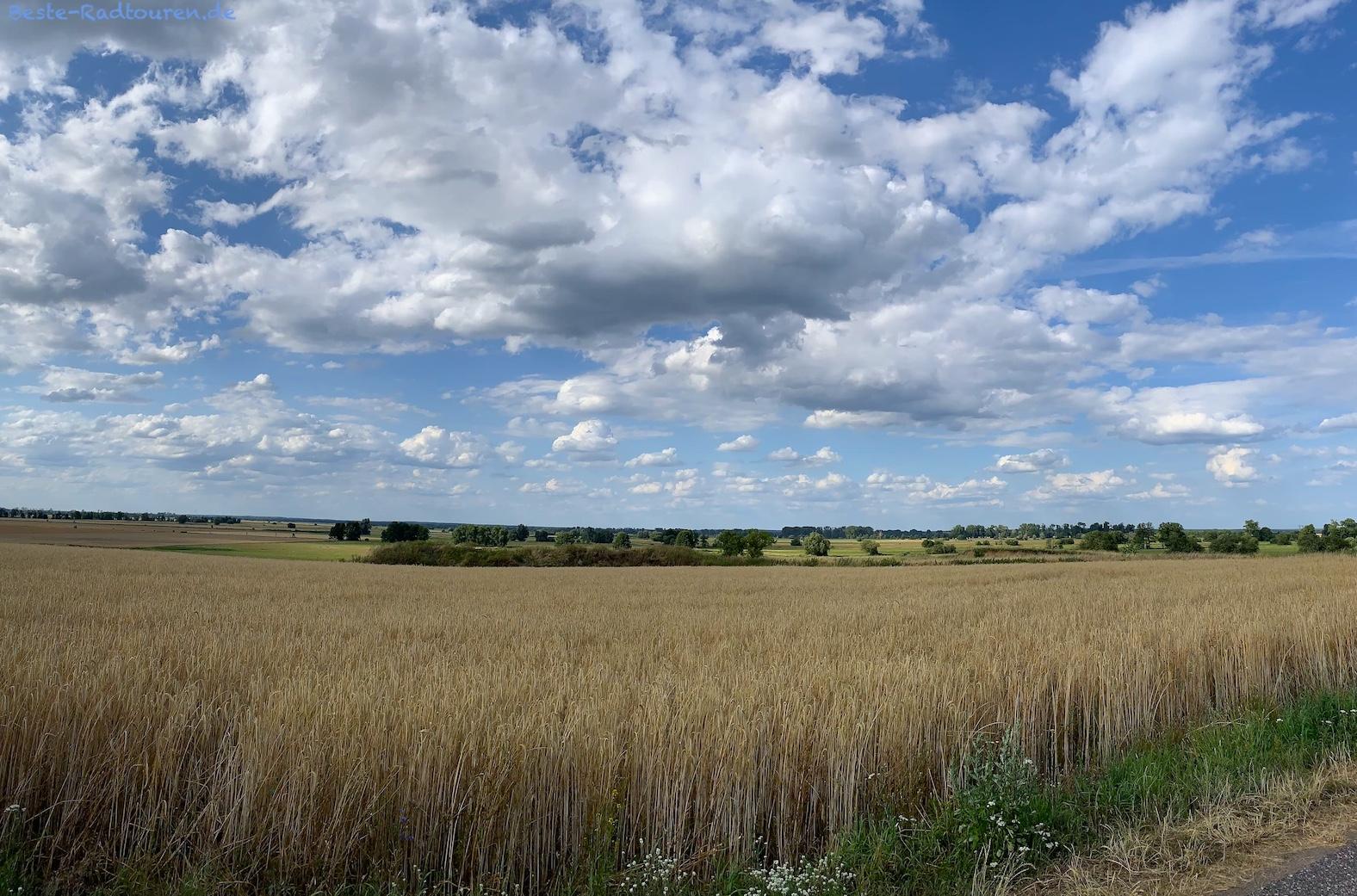 Foto von Europa-Radweg R1 und Tour Brandenburg aus: Landschaft zwischen Baitz und Trebitz/ Gömnigk