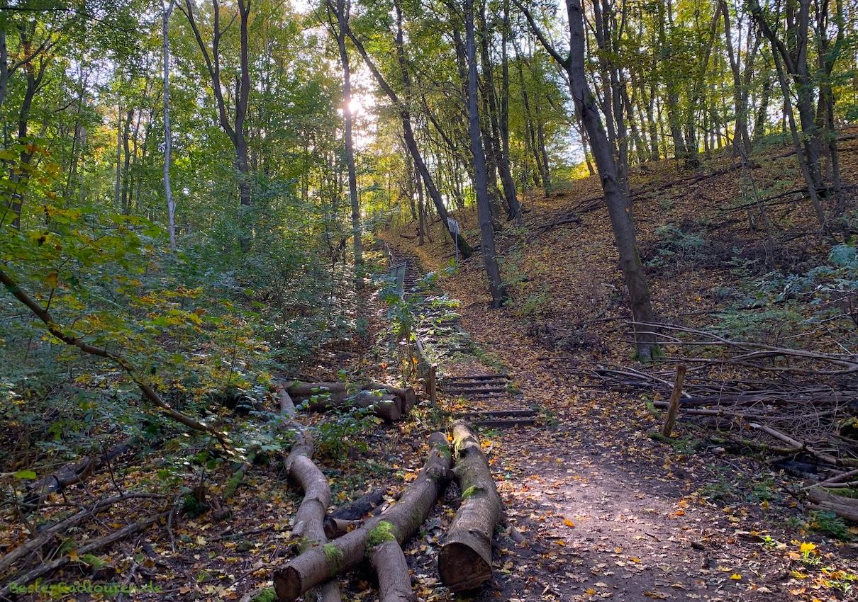 Foto vom Talweg her: Wanderweg und Treppe zum Höhenweg, Murellenschlucht, Berlin-Ruhleben