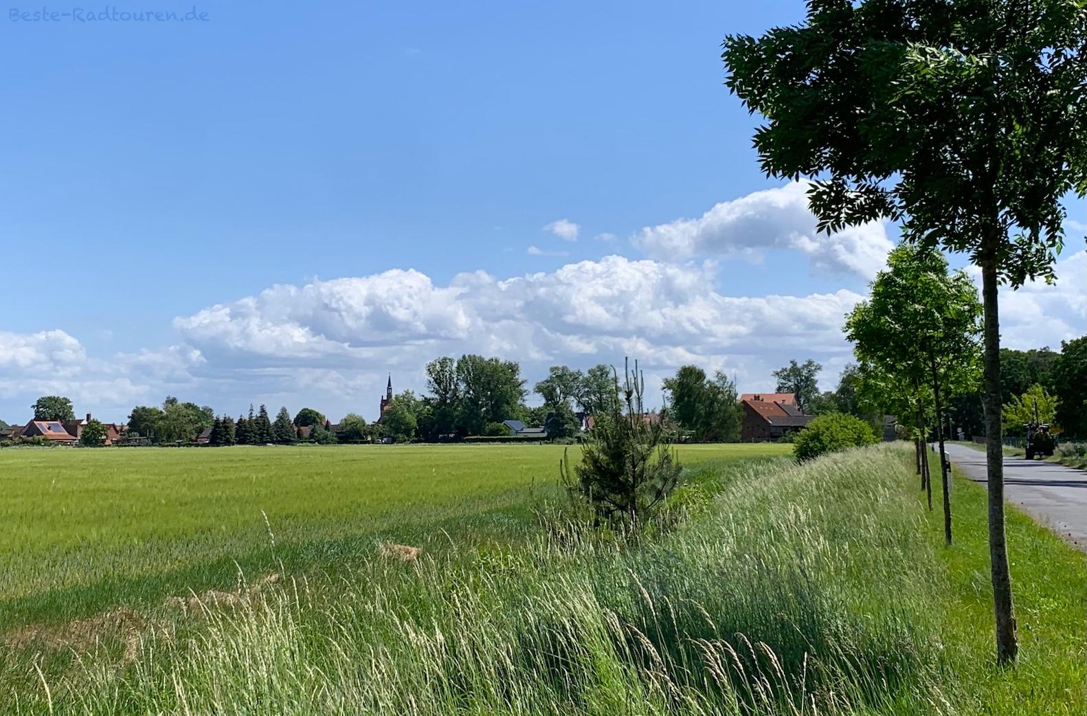 Foto vom Radweg aus: Blick auf Wittbrietzen aus Richtung Buchholz