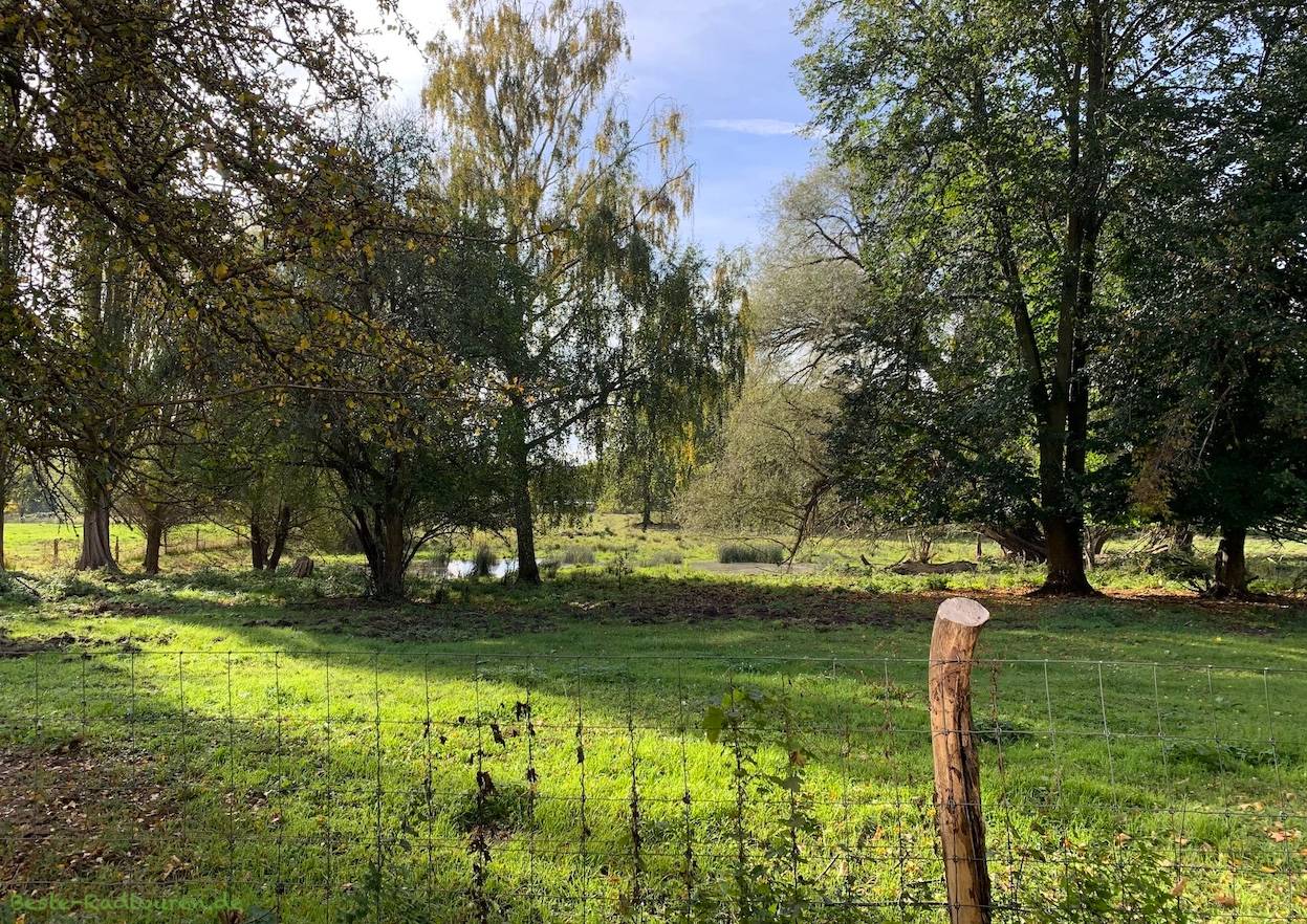 Foto vom Wanderweg aus: Tiefwerder Wiesen, Spandau-Wilhelmstadt