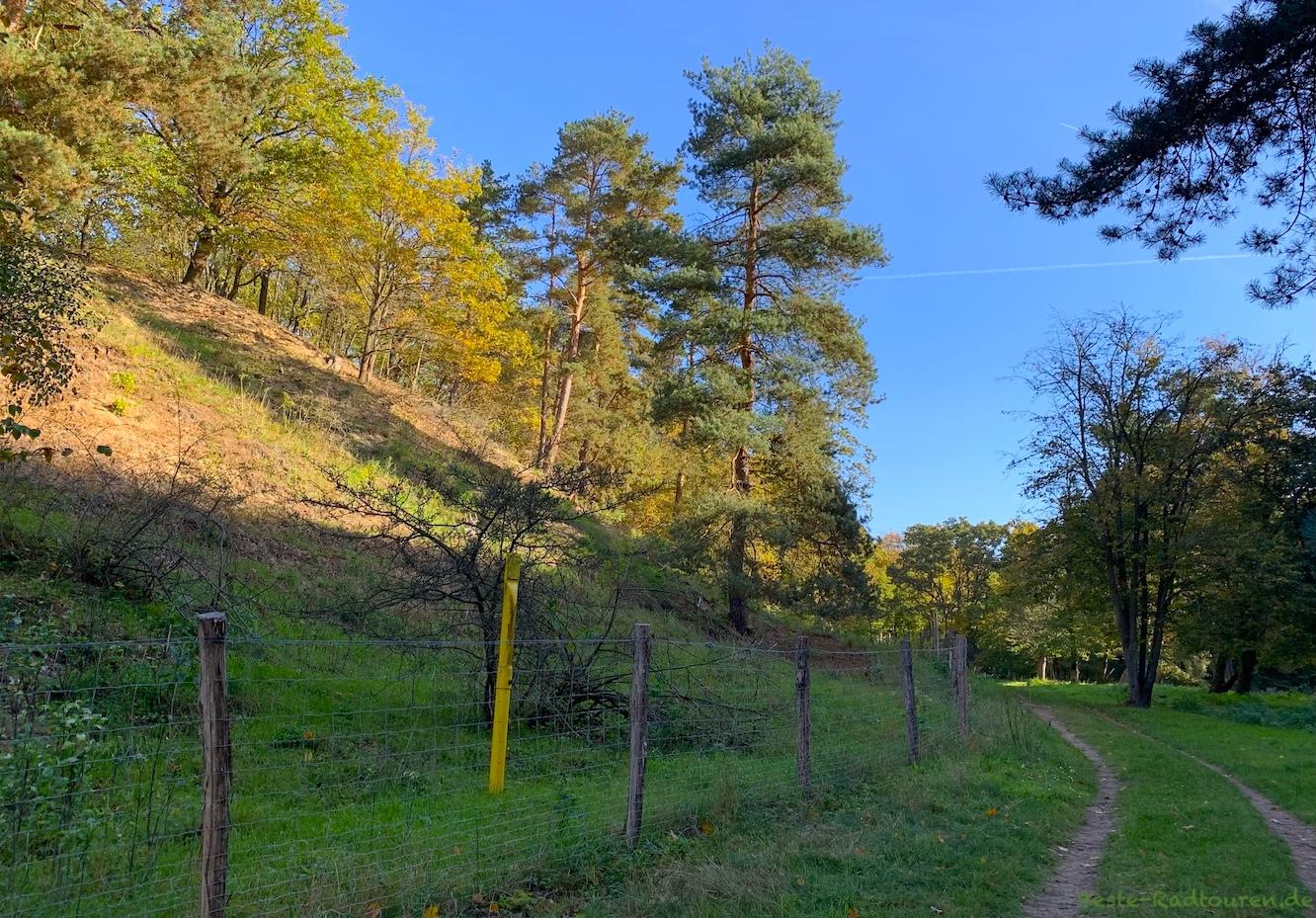 Foto vom Schanzenwald her: Talweg und Wanderweg Murellenschlucht, Berlin-Ruhleben