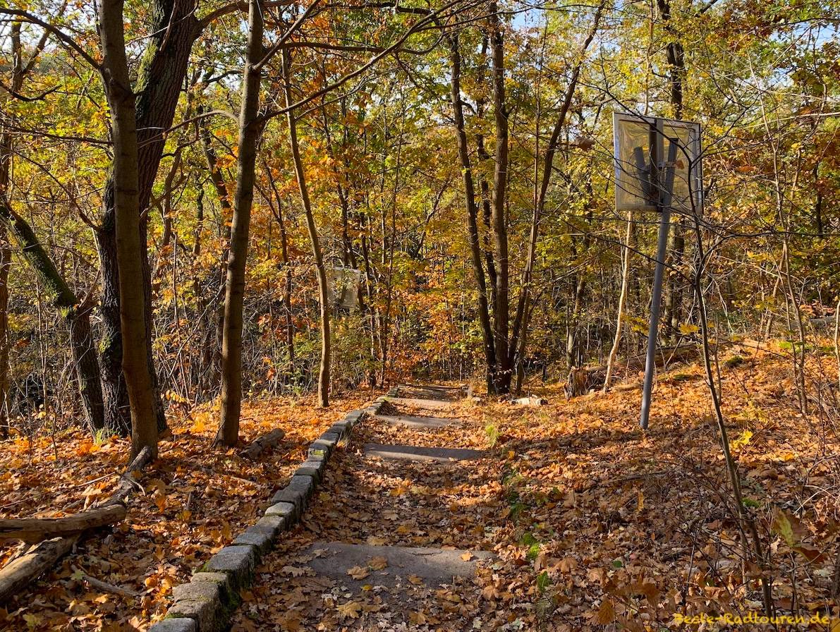 Foto vom oben: Treppe vom Murellenberg zum Kammweg, Murellenschlucht
