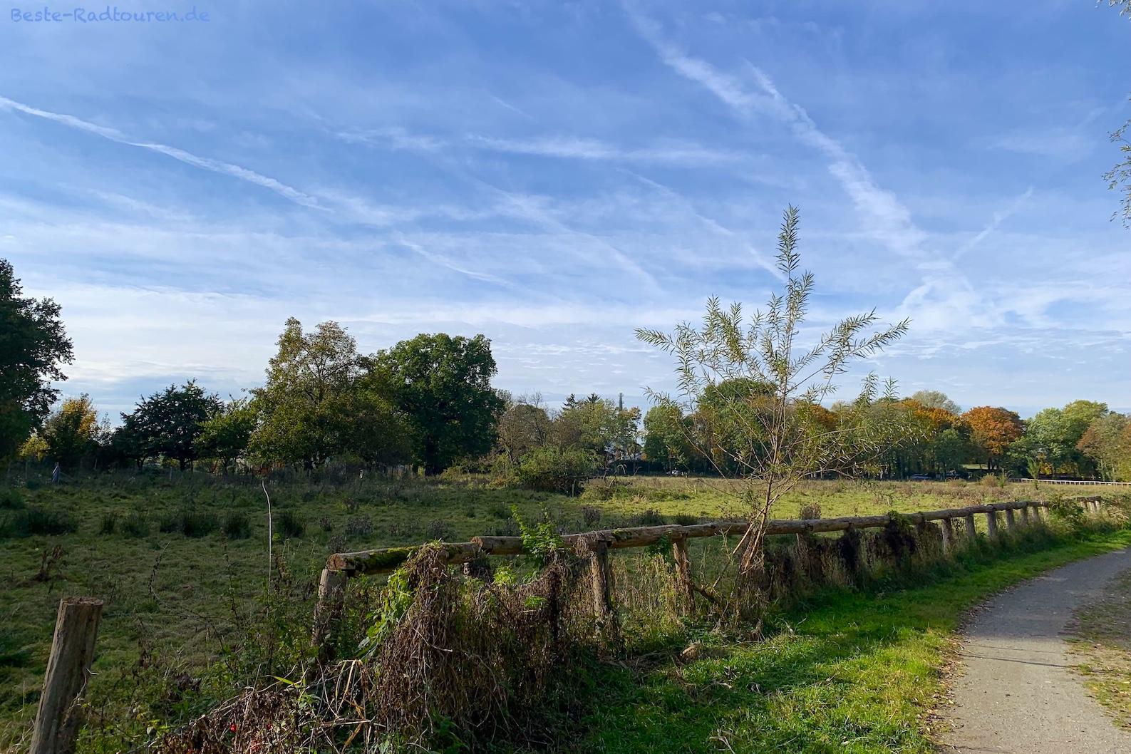 Foto vom Fußweg und Wanderweg aus: Tiefwerder Wiesen, Berlin-Wilhelmstadt