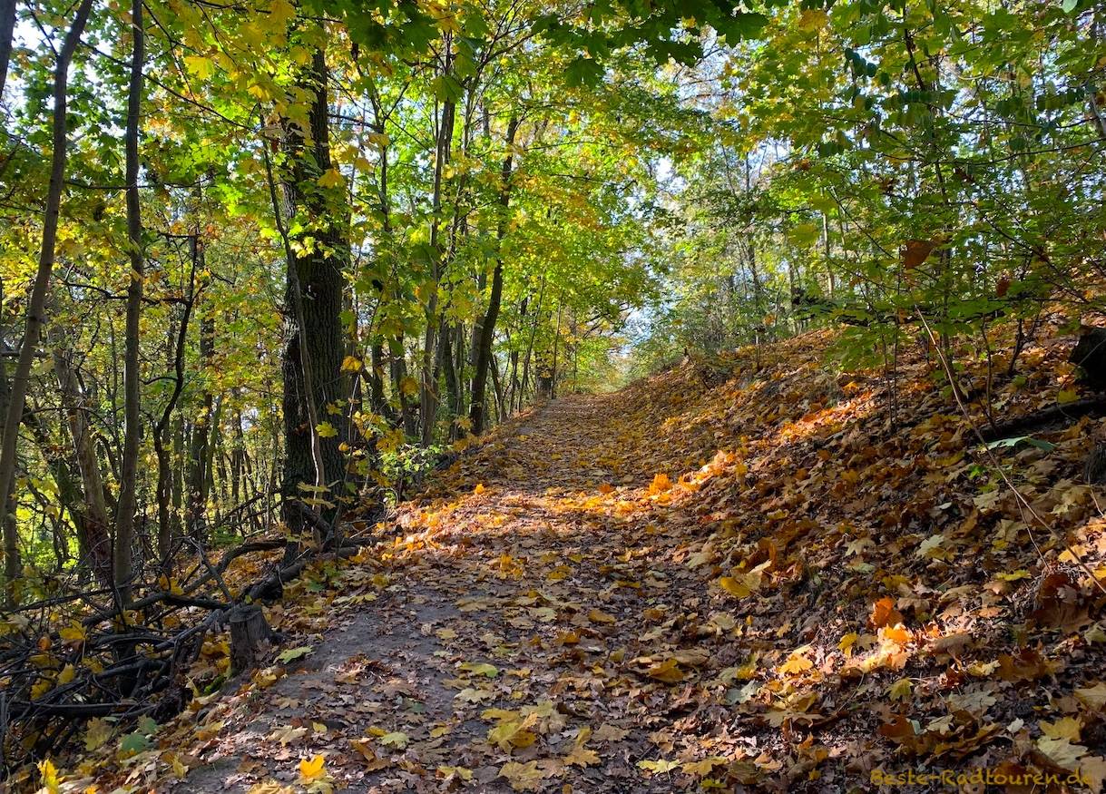 Foto vom Wanderweg / Fußweg her: Übergang von der Fließwiese Ruhleben zum Murellenberg und zur Murellenschlucht