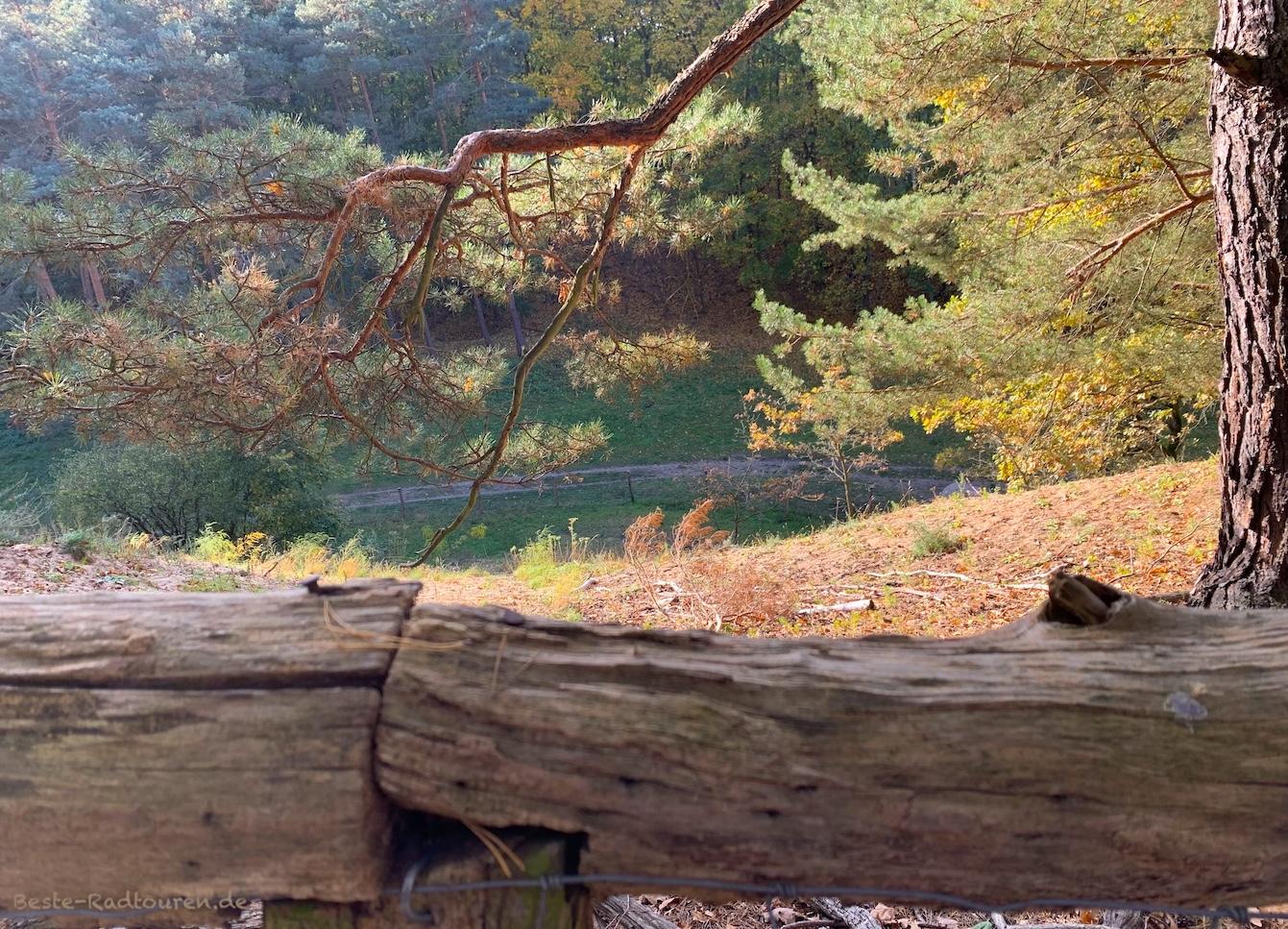 Foto von oben: Zaun am Murellenberg über der Murellenschlucht
