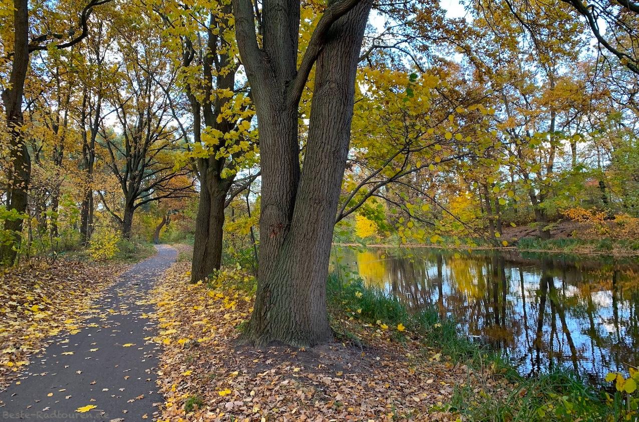 Foto vom Uferweg aus: Oranienburger Kanal in Friedenthal bei Oranienburg