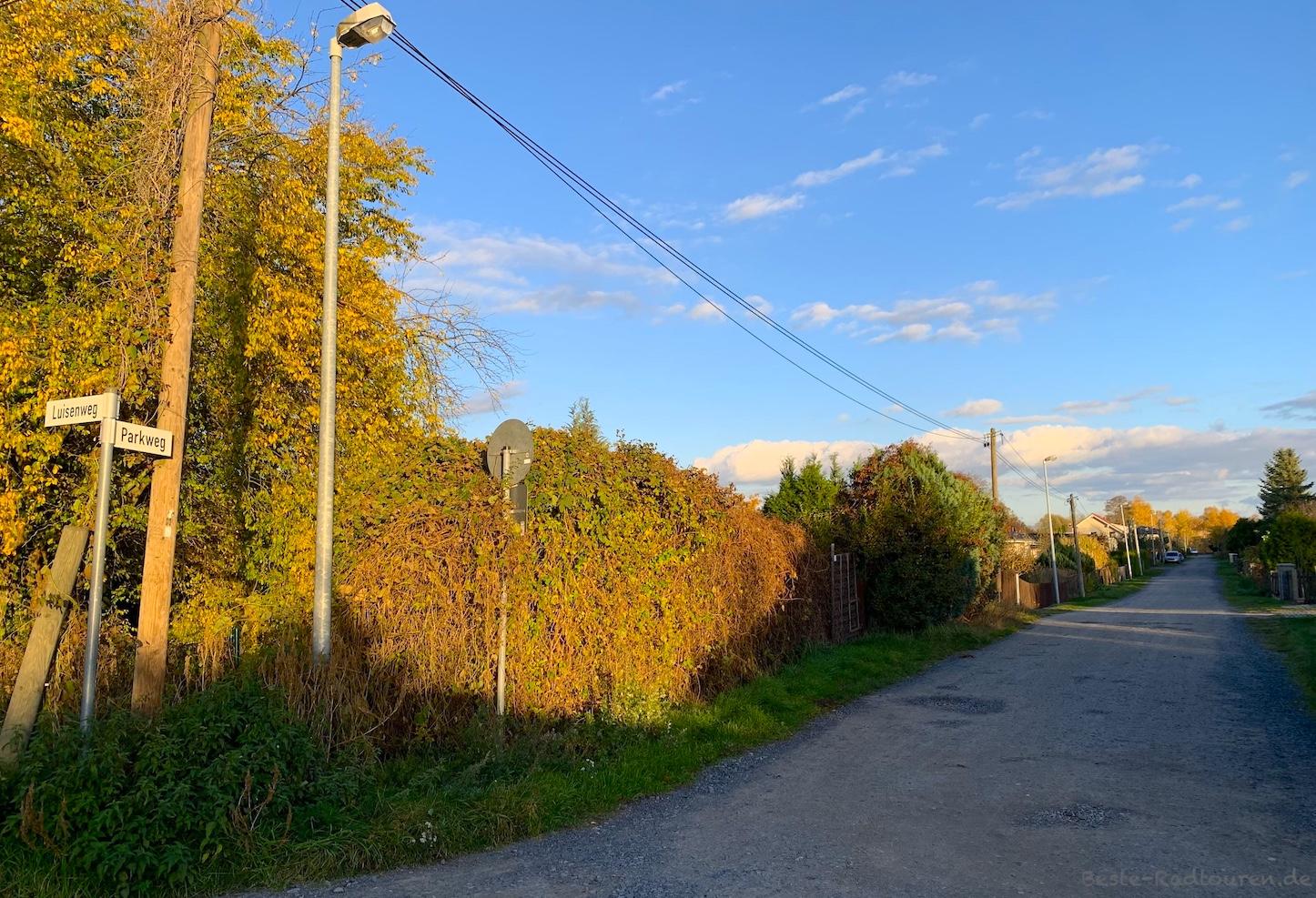 Foto vom Norden her: Parkweg am Schlosspark Oranienburg