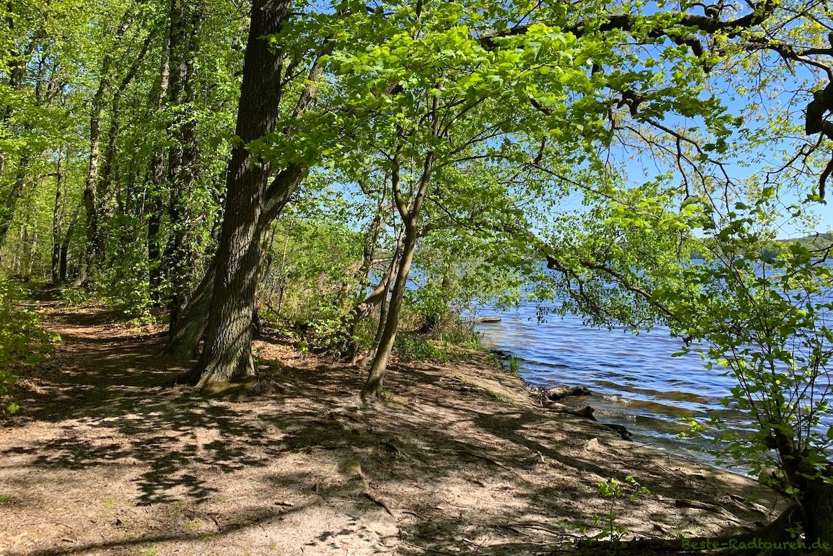 Templiner See, Uferweg und Wanderweg nahe Campingplatz