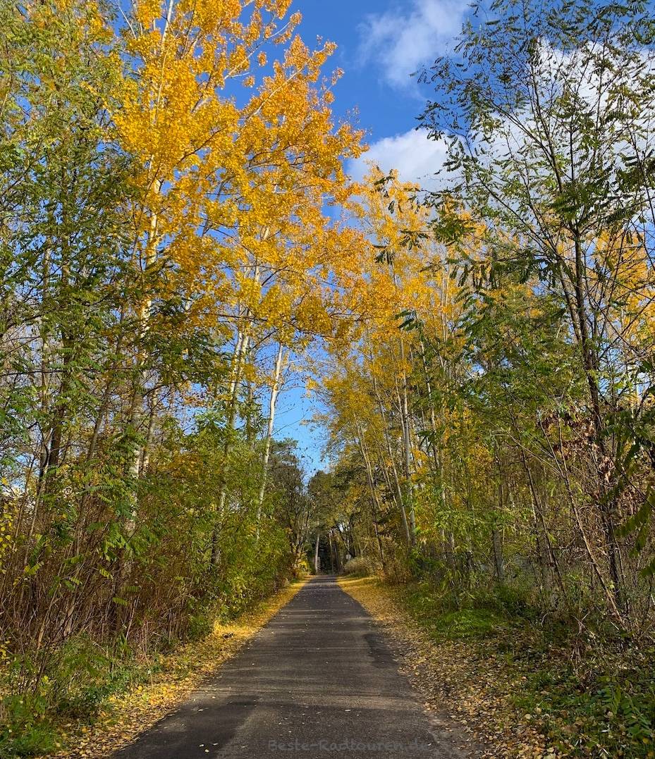Foto von Fichtengrund her: Wanderweg und kleine Landstraße