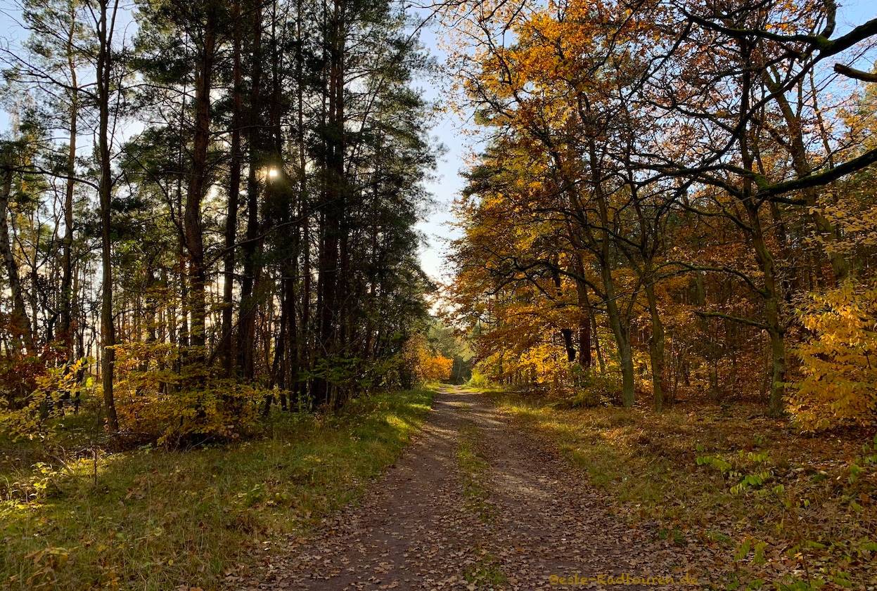 Wanderweg von Fichtengrund nach Sachsenhausen (bei Oranienburg)