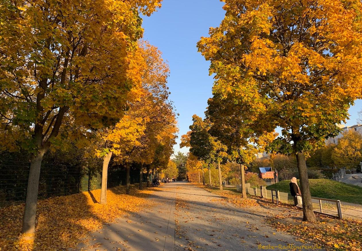 Foto vom Fußgängerweg aus: Radweg am Emmauswald, Neukölln, Berlin