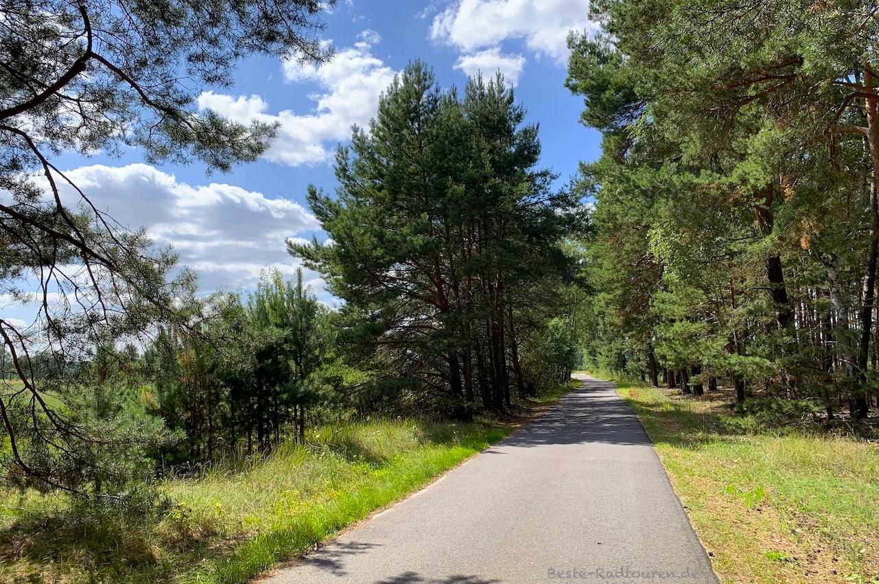 Foto vom Radweg aus: Neue Fahrradstraße zwischen Waldow und Mochow
