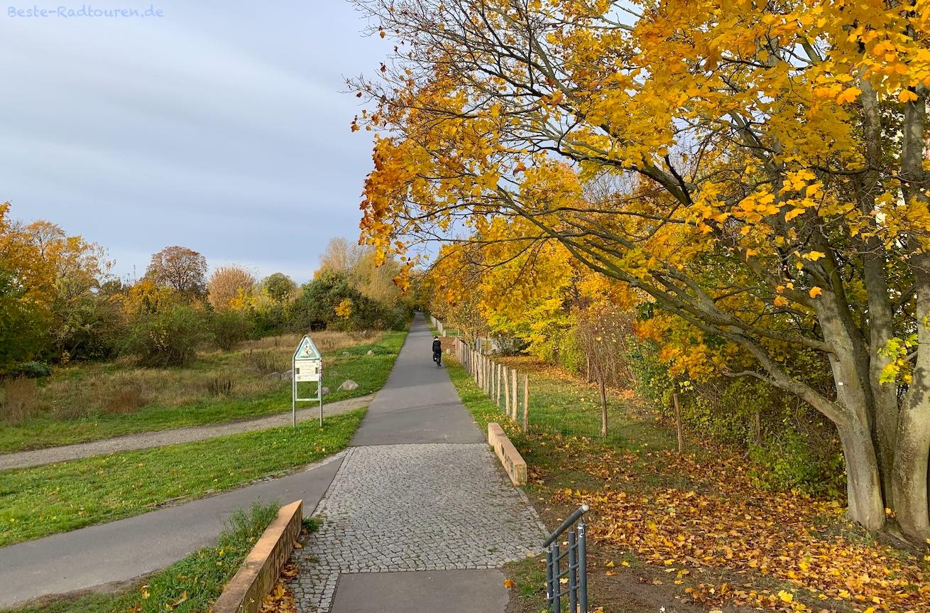 Foto von der Chris-Gueffroy-Allee aus: Radweg, Skaterweg und Fußweg am Britzer Verbindungskanal