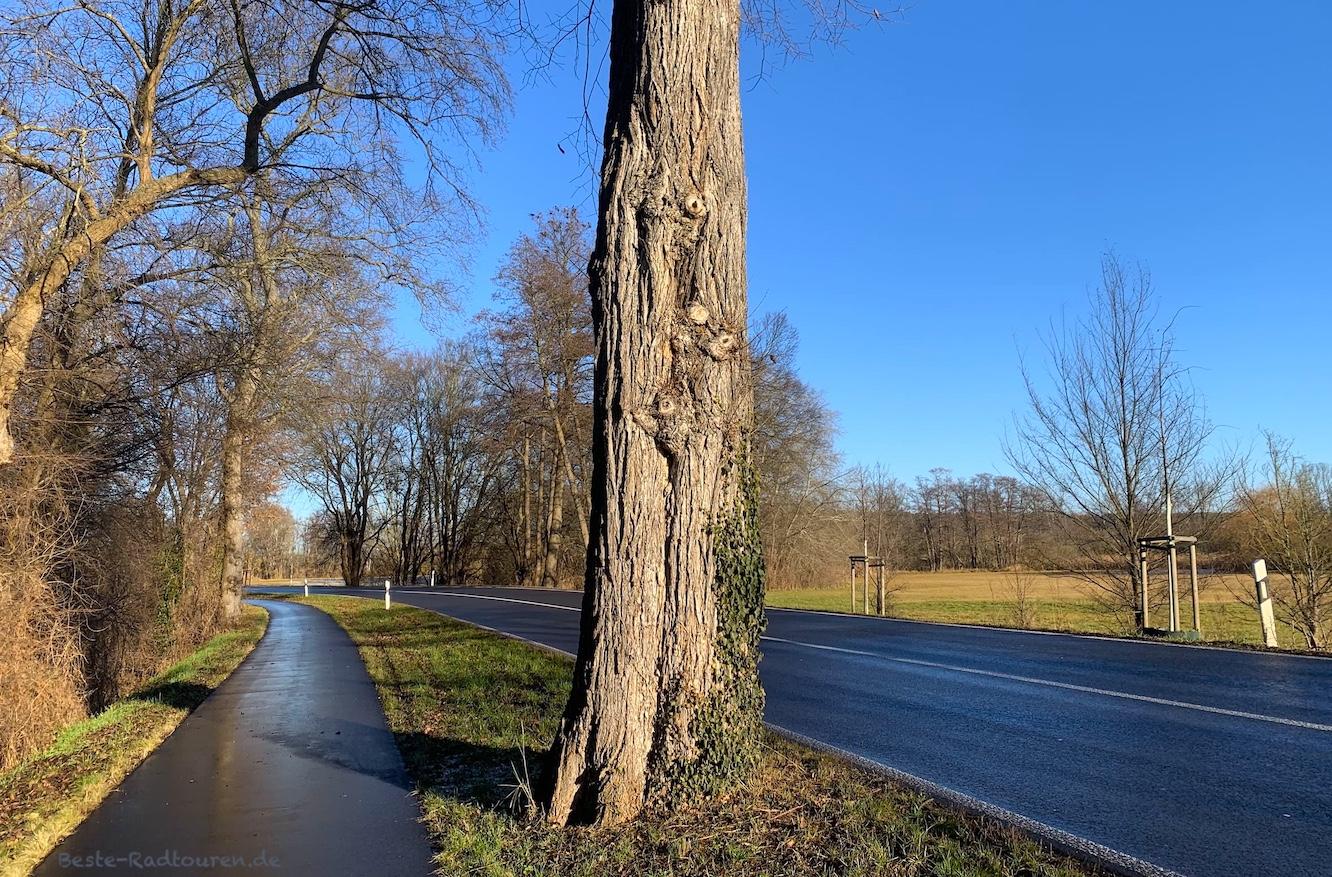 Foto vom Radweg zwischen Wildpark West und Geltow