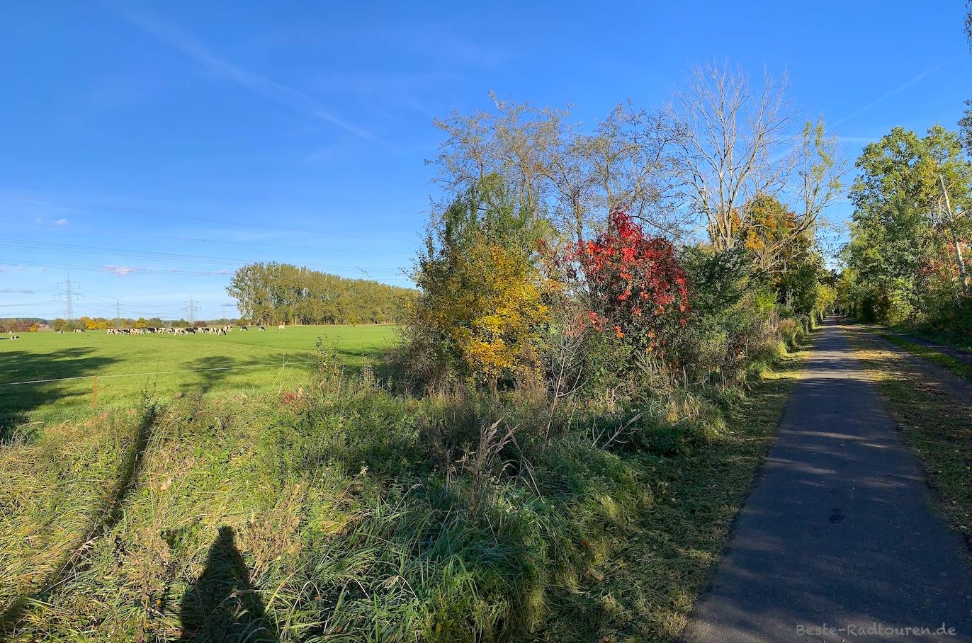 Foto vom Havelland-Radweg aus: Fahrradstraße von Schönwalde nach Wansdorf
