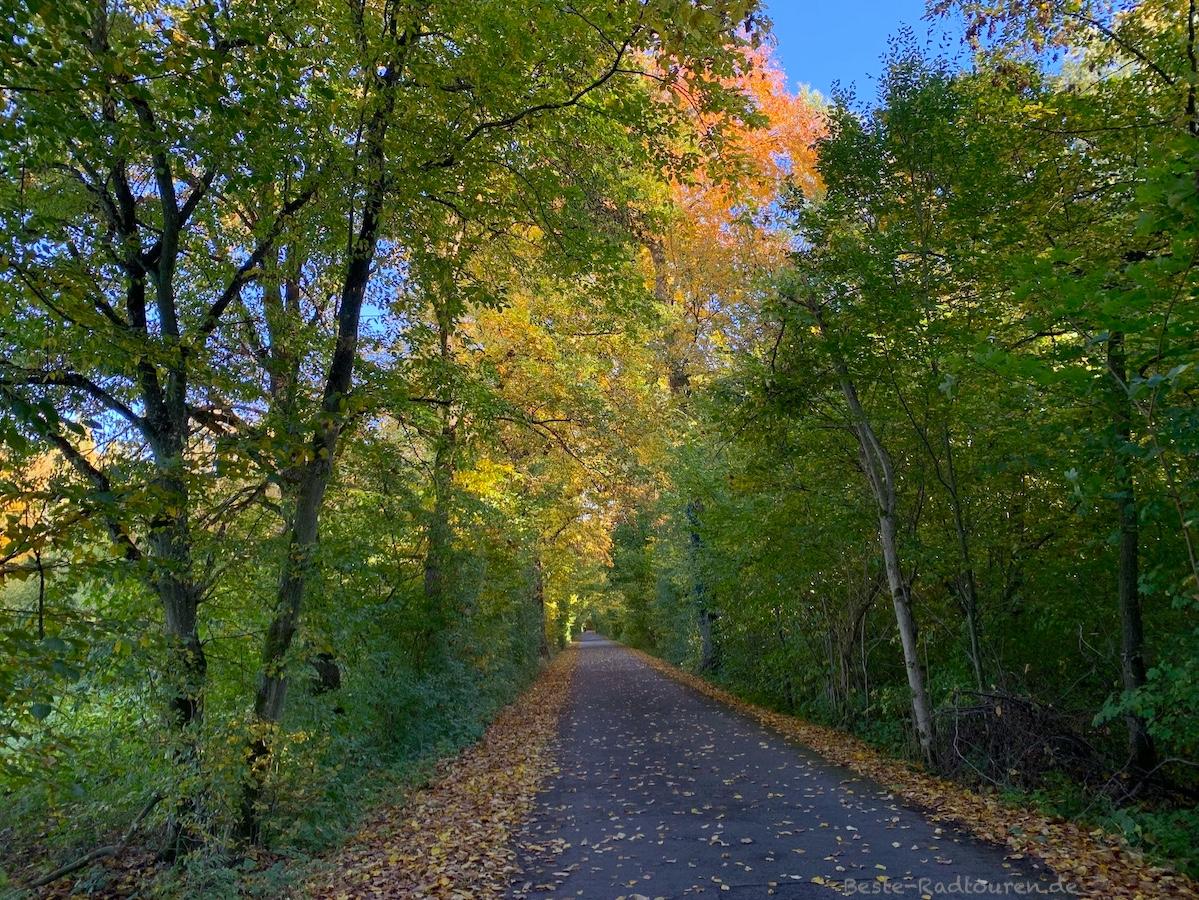 Foto vom Havelland-Radweg aus: Fahrradstraße von Schönwalde nach Wansdorf