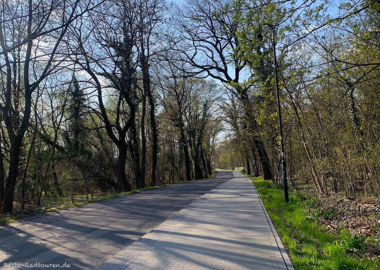 Foto vom Osten her: Radweg von Fredersdorf nach Vogelsdorf (bei Berlin)