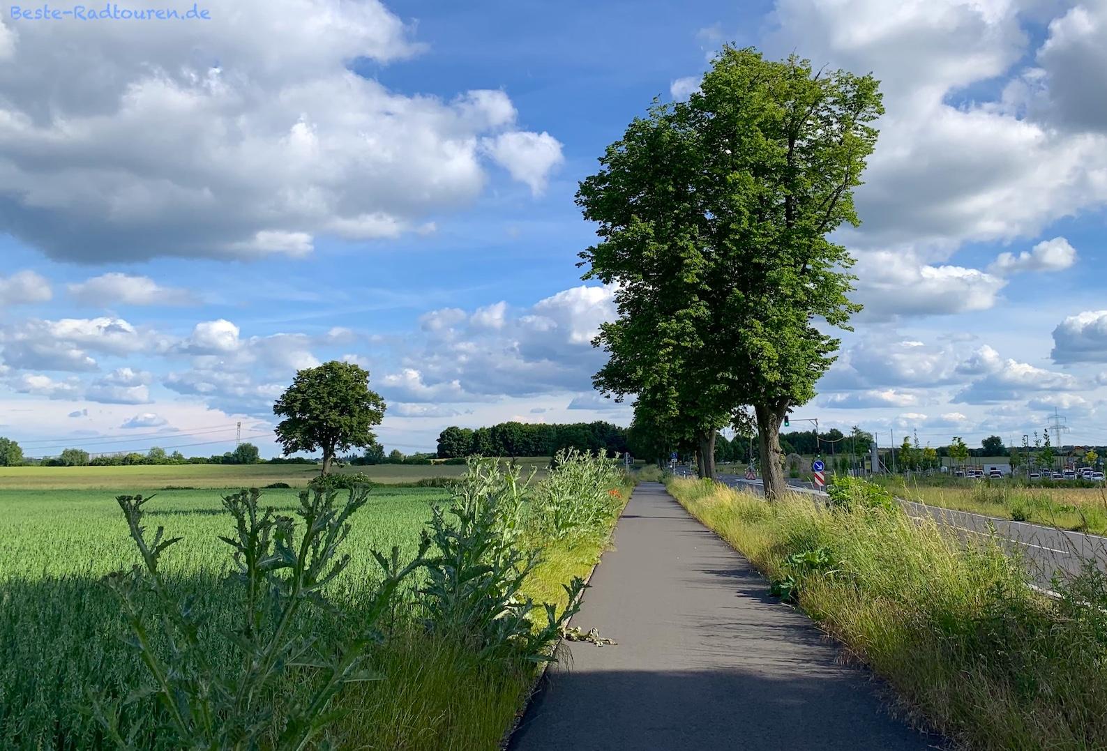 Foto vom Weg aus: Radweg von Altlandsberg nach Fredersdorf