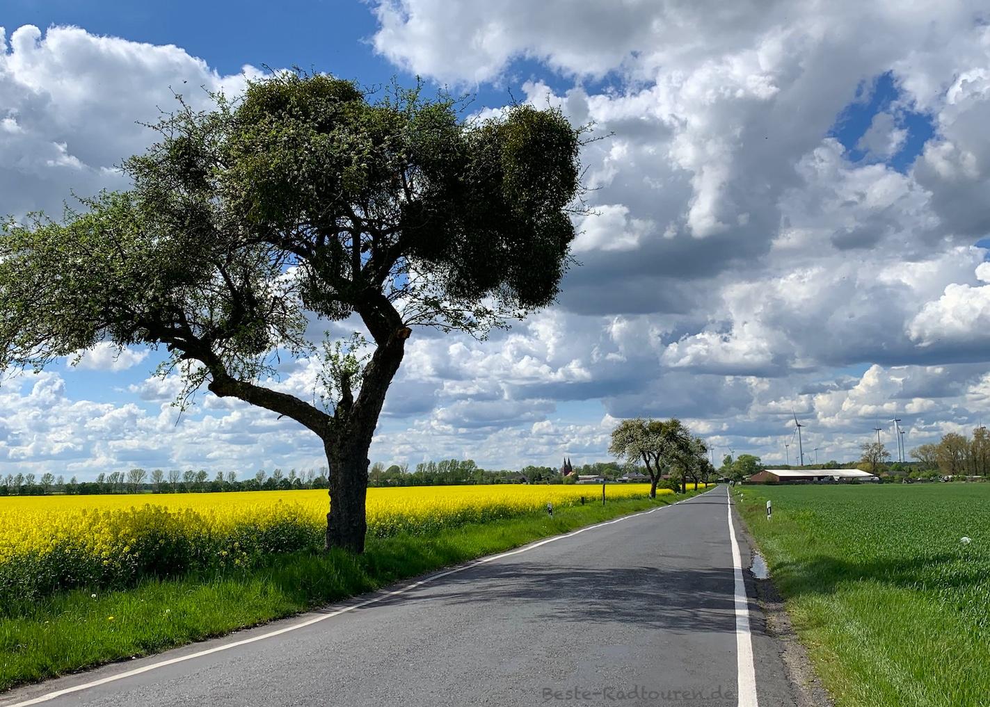 Foto von der Radroute aus: Landstraße zwischen Weesow und Willmersdorf