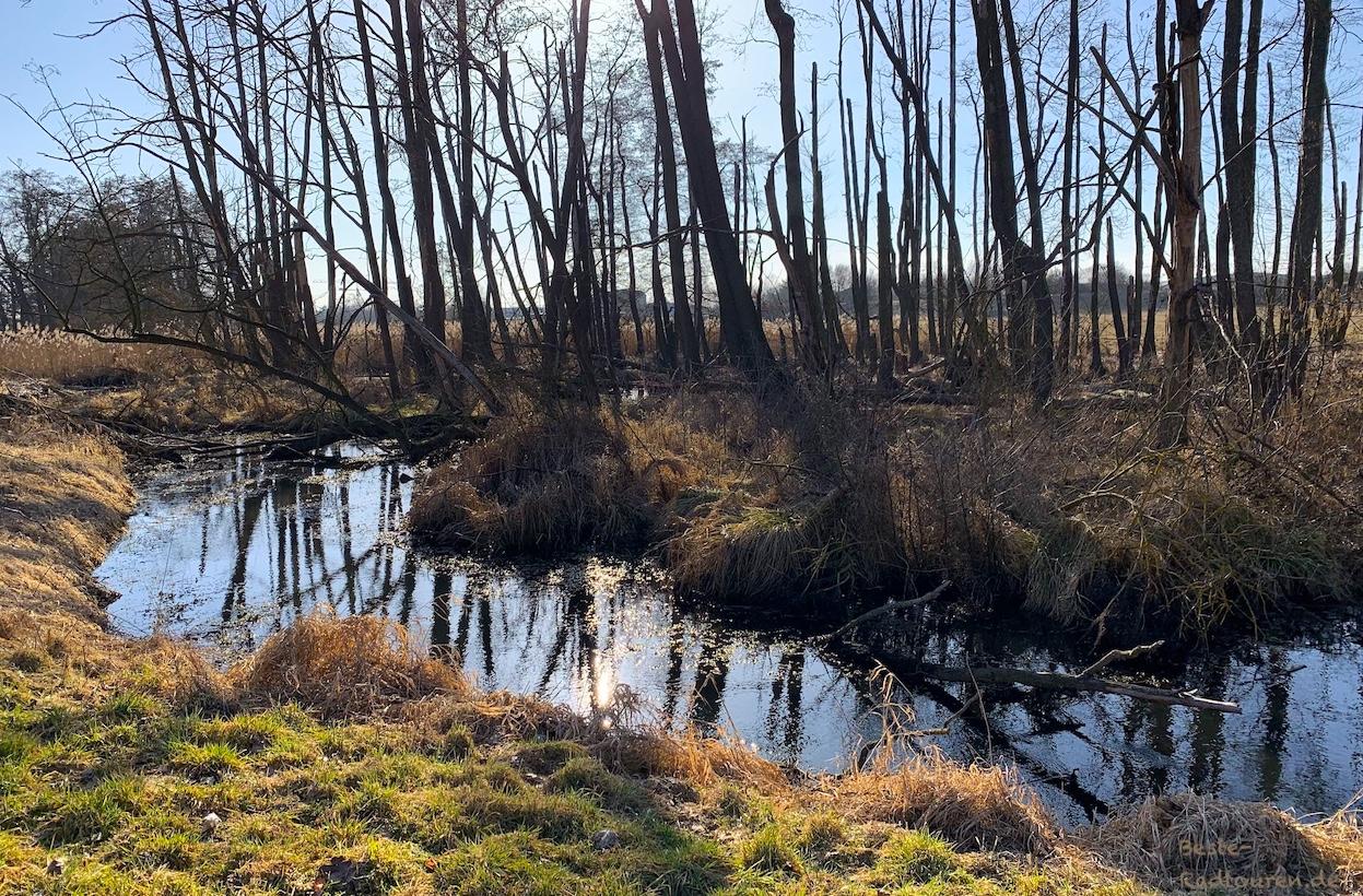 Foto vom Wander- und Radweg aus: Erpe/ Neuenhagener Mühlenfließ in Wiesengrund nahe Neuenhagen