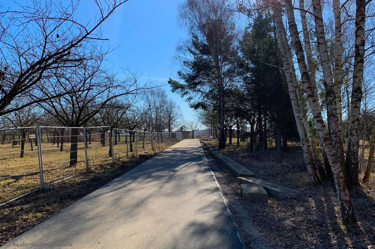 Foto vom Radweg aus: Mauerweg von Marienfelde nach Sigridshorst