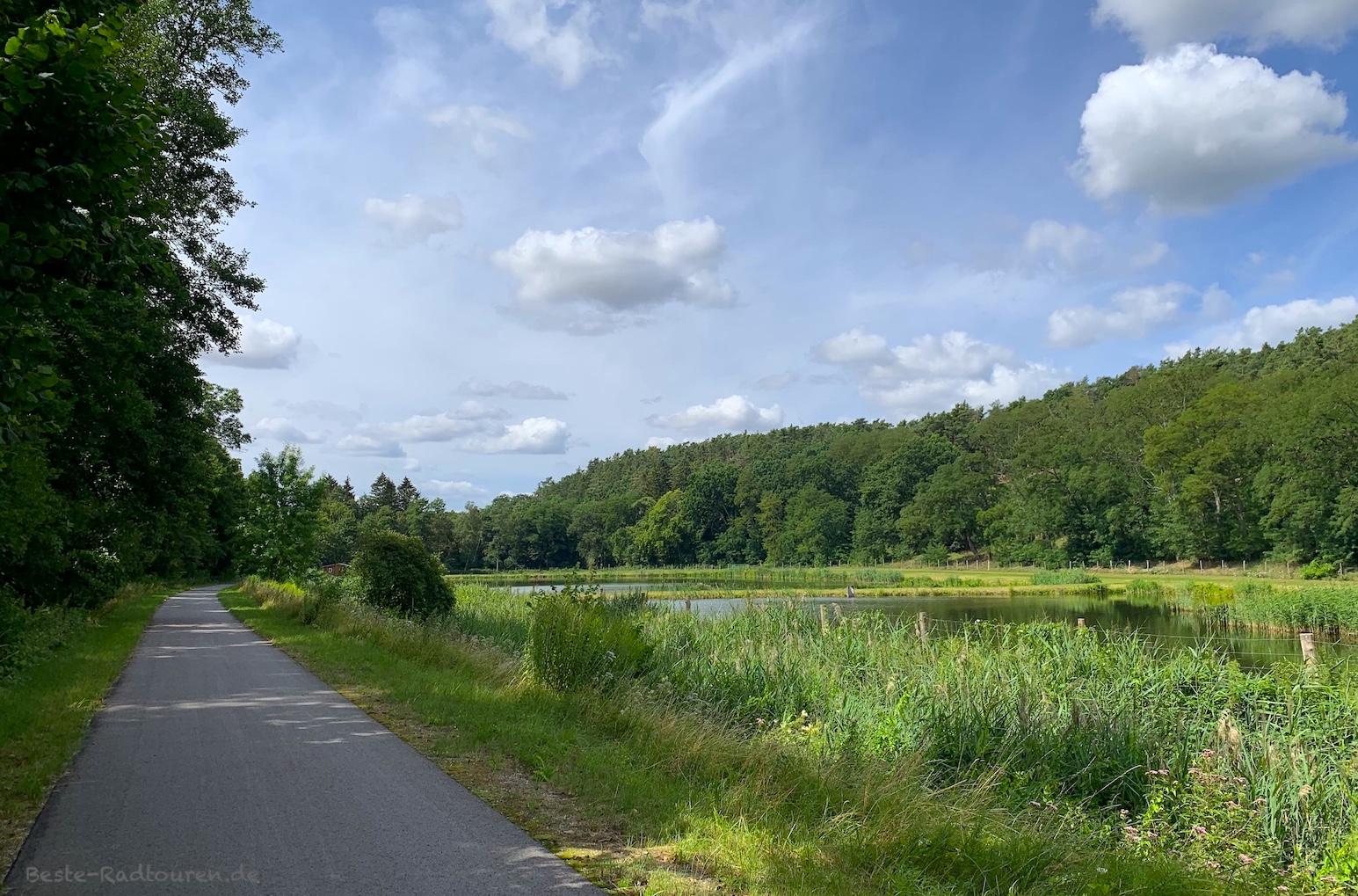 Foto vom Radweg aus: Oder-Neiße-Radstraße in Polen von der Europabrücke bis Bad Schönfließ