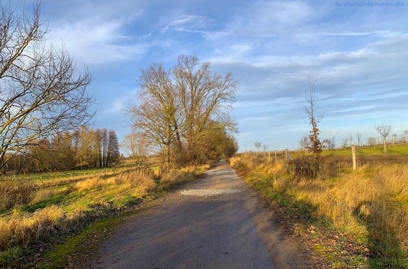 Foto vom Wander- und Radweg aus: Weg von Altlandsberg nach Wiesengrund Richtung Neuenhagen