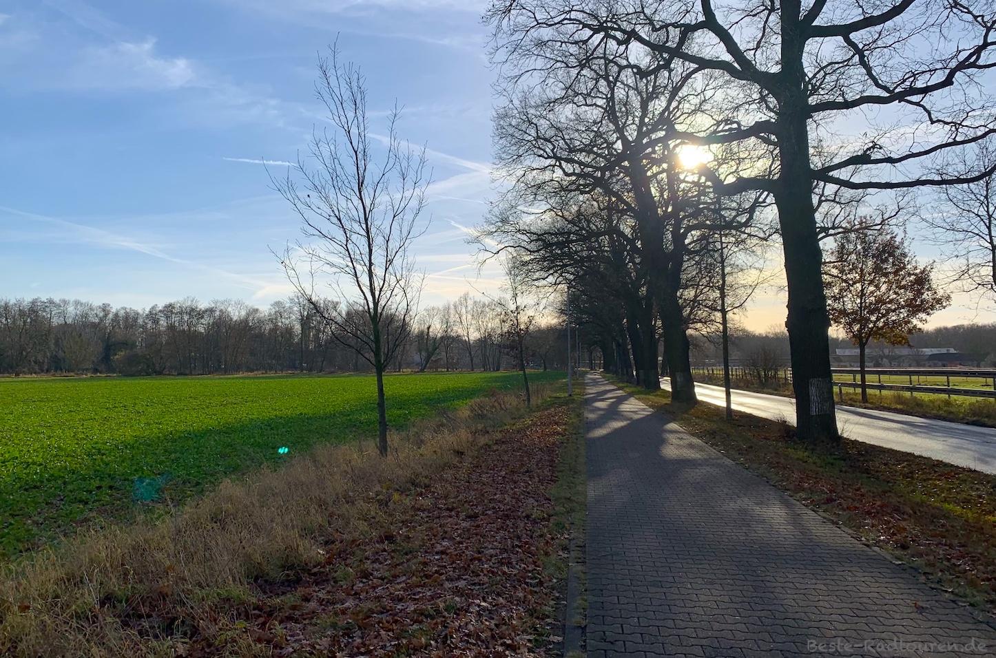 Foto vom Radweg aus: Zwischen Bollensdorf / Neuenhagen und Schöneiche