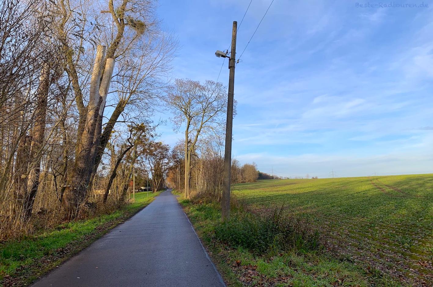 Foto vom Wander- und Radweg aus: Weg von Altlandsberg und Wiesengrund / Elisenhof Richtung Neuenhagen