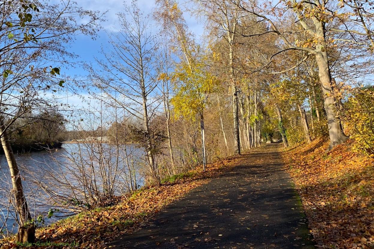Foto vom Radfernweg Berlin-Kopenhagen aus: Radweg und Wanderweg am Hohenzollernkanal nahe Park am Plötzensee
