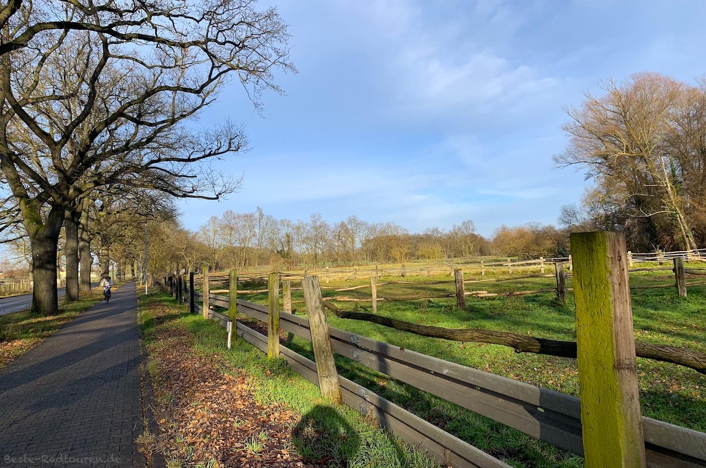 Foto vom Radweg aus: Zwischen Bollensdorf / Neuenhagen und Schöneiche