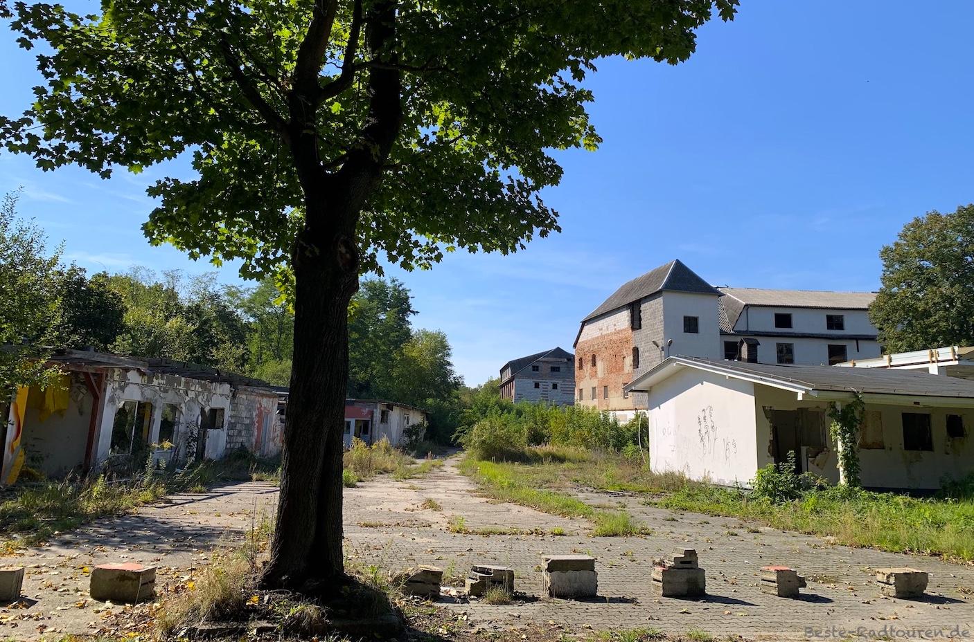 Foto vom Radweg aus: Polen, östlich von Forst, nördlich von Zasieki