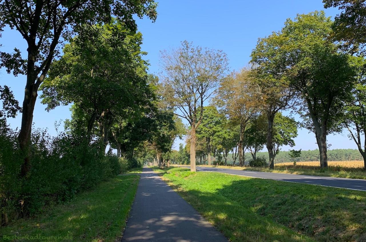 Radweg nahe Cybinka (Ziebingen, Polen)